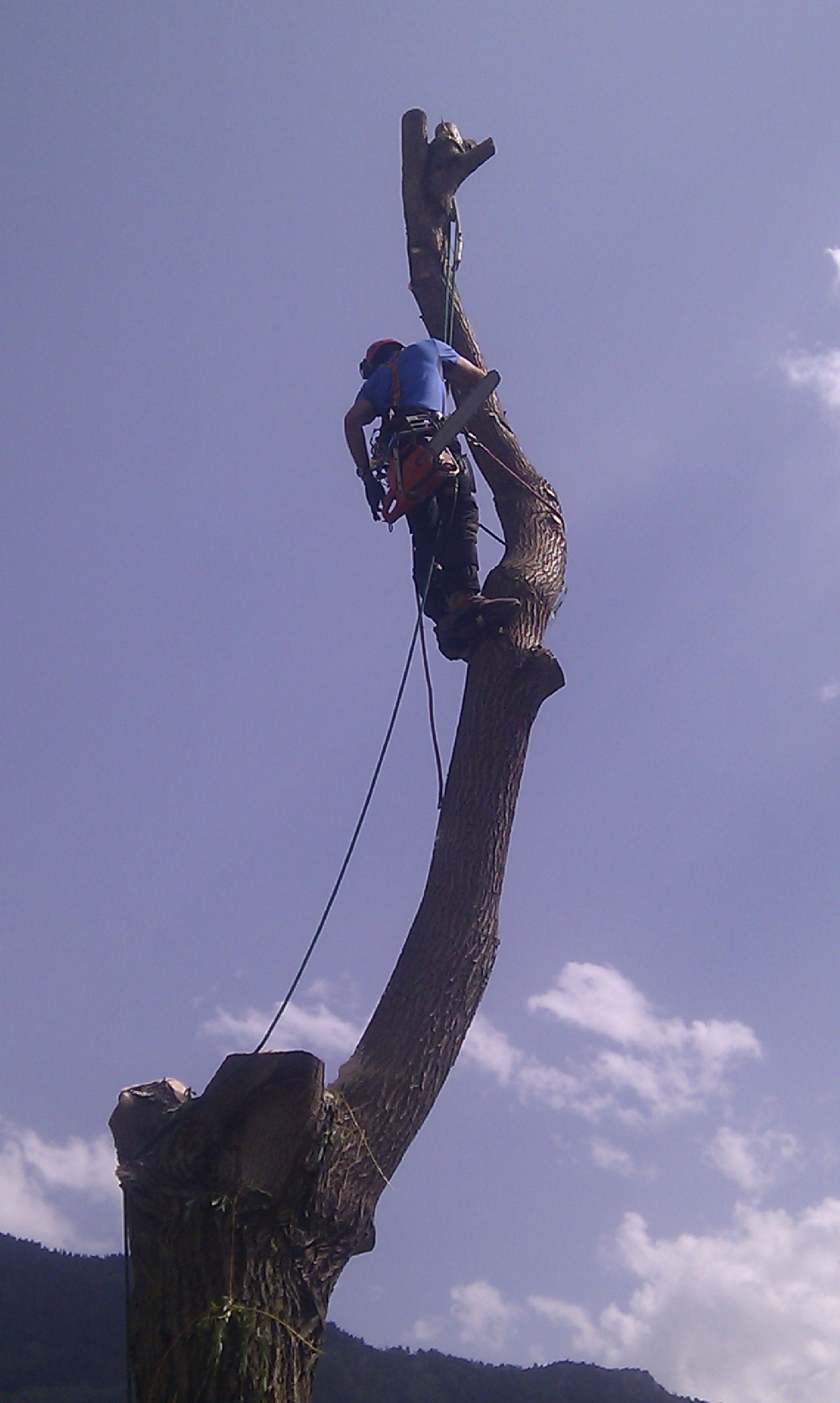Naoux Paysagiste - watering