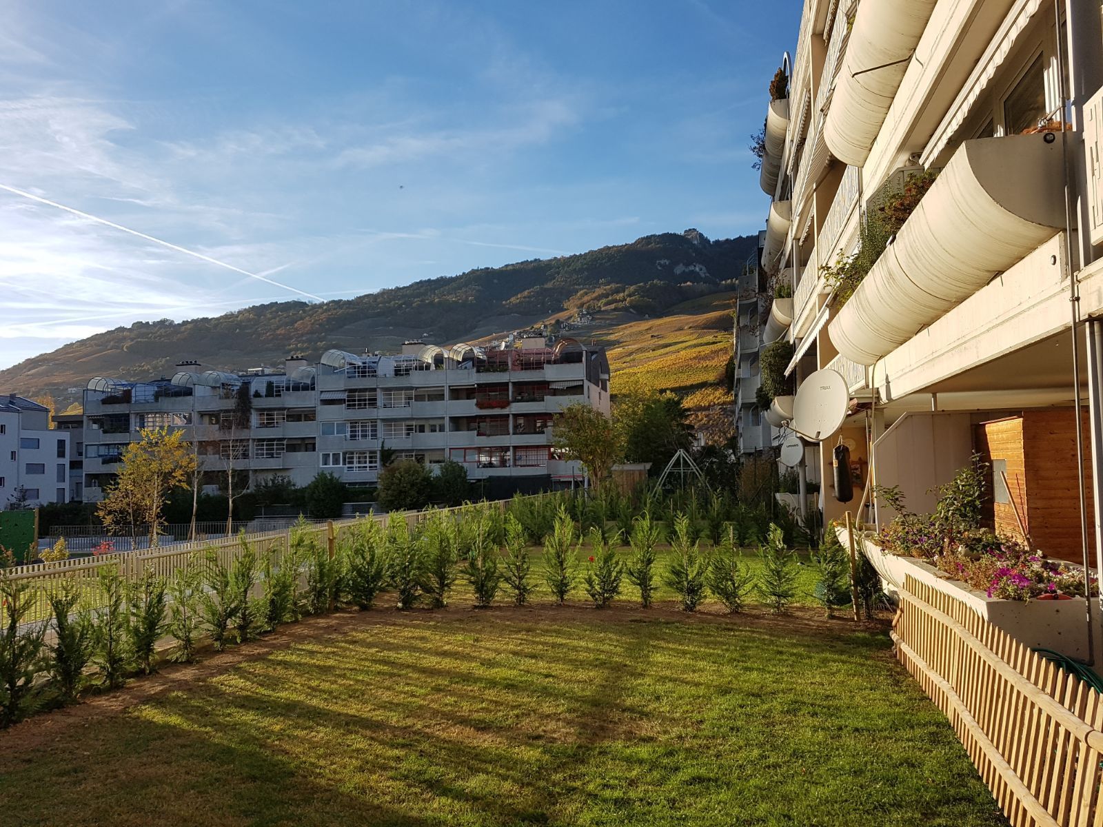 Naoux Paysagiste - watering