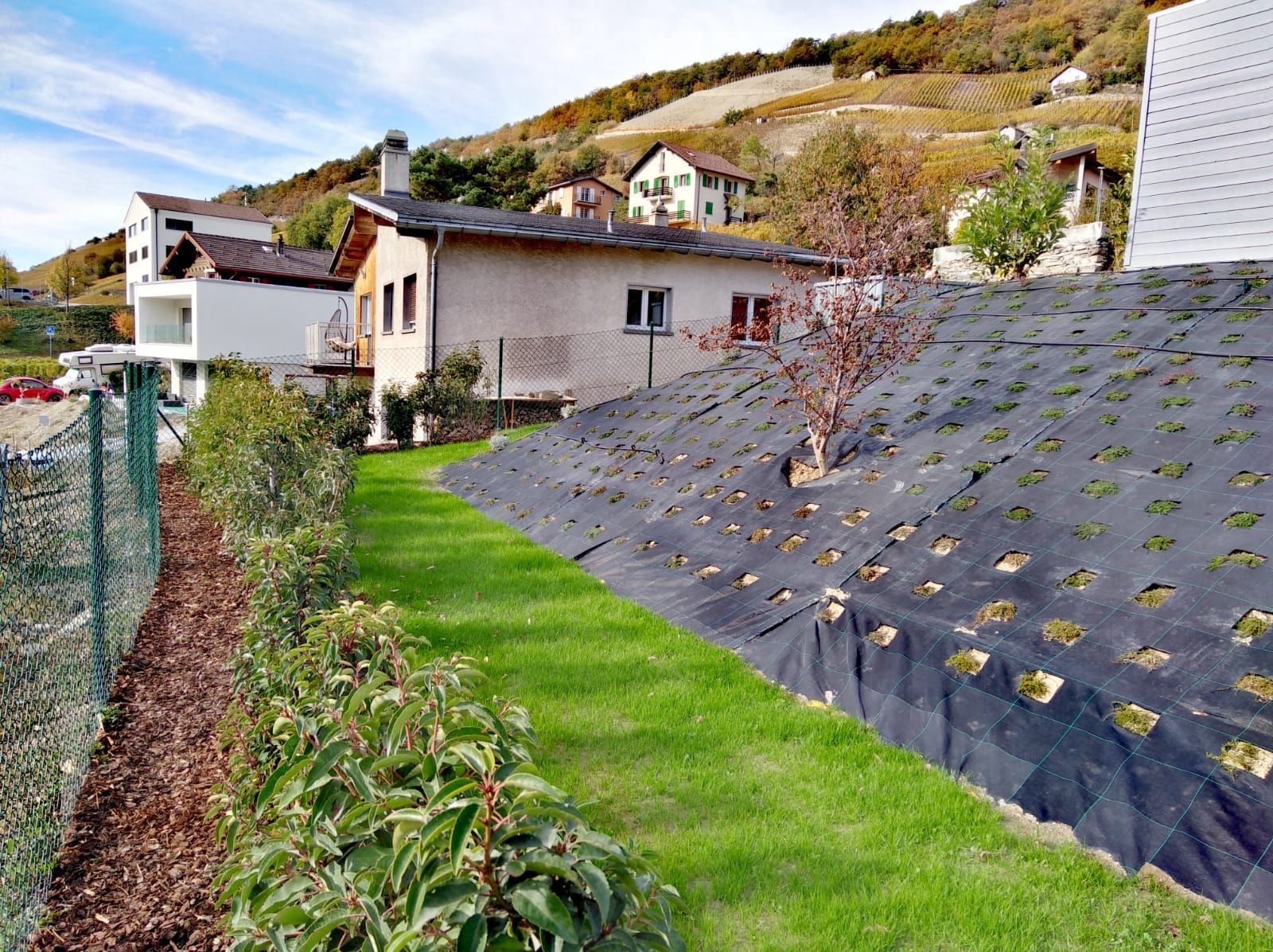 Naoux Paysagiste - watering