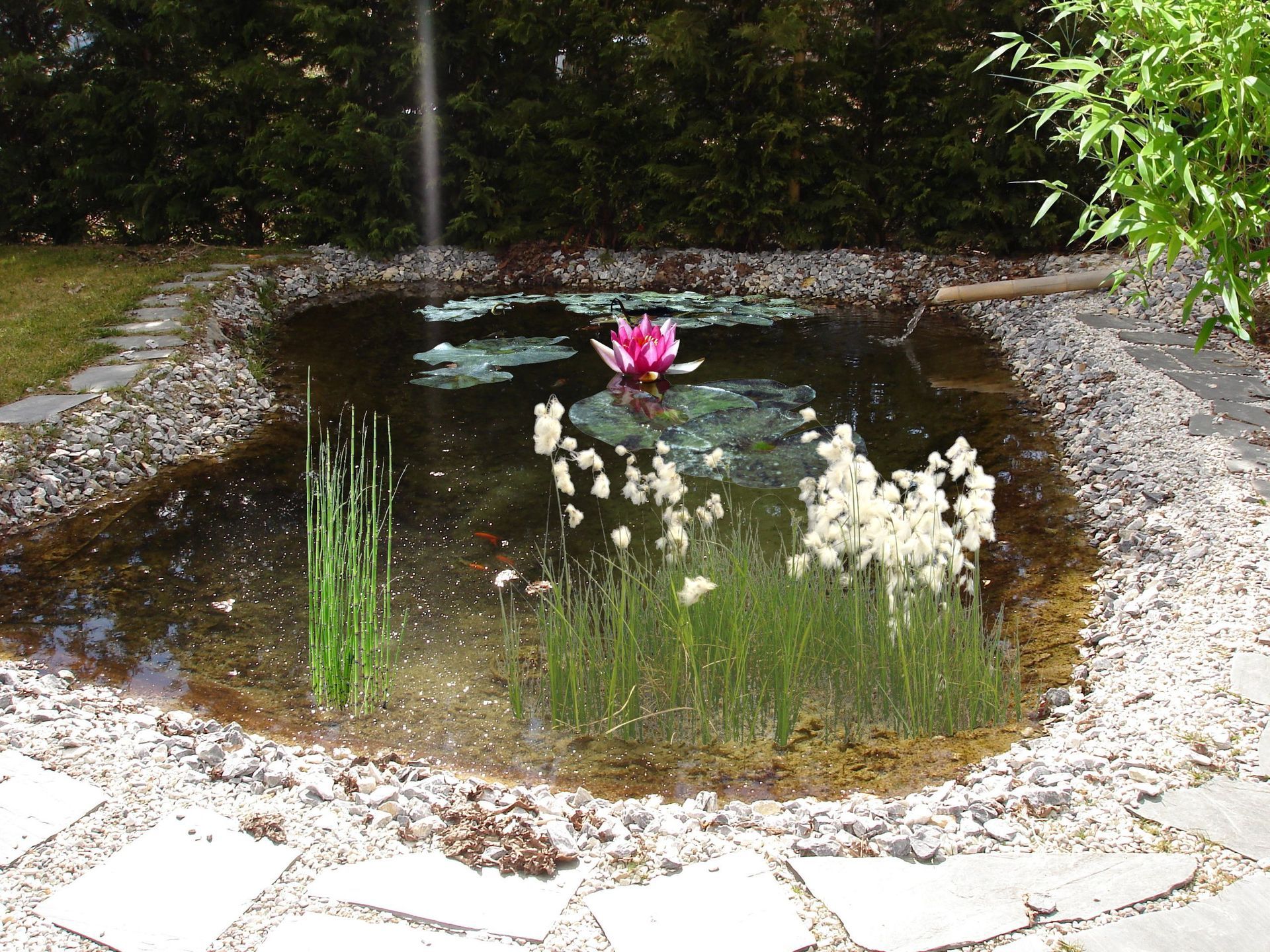 Naoux Paysagiste - watering