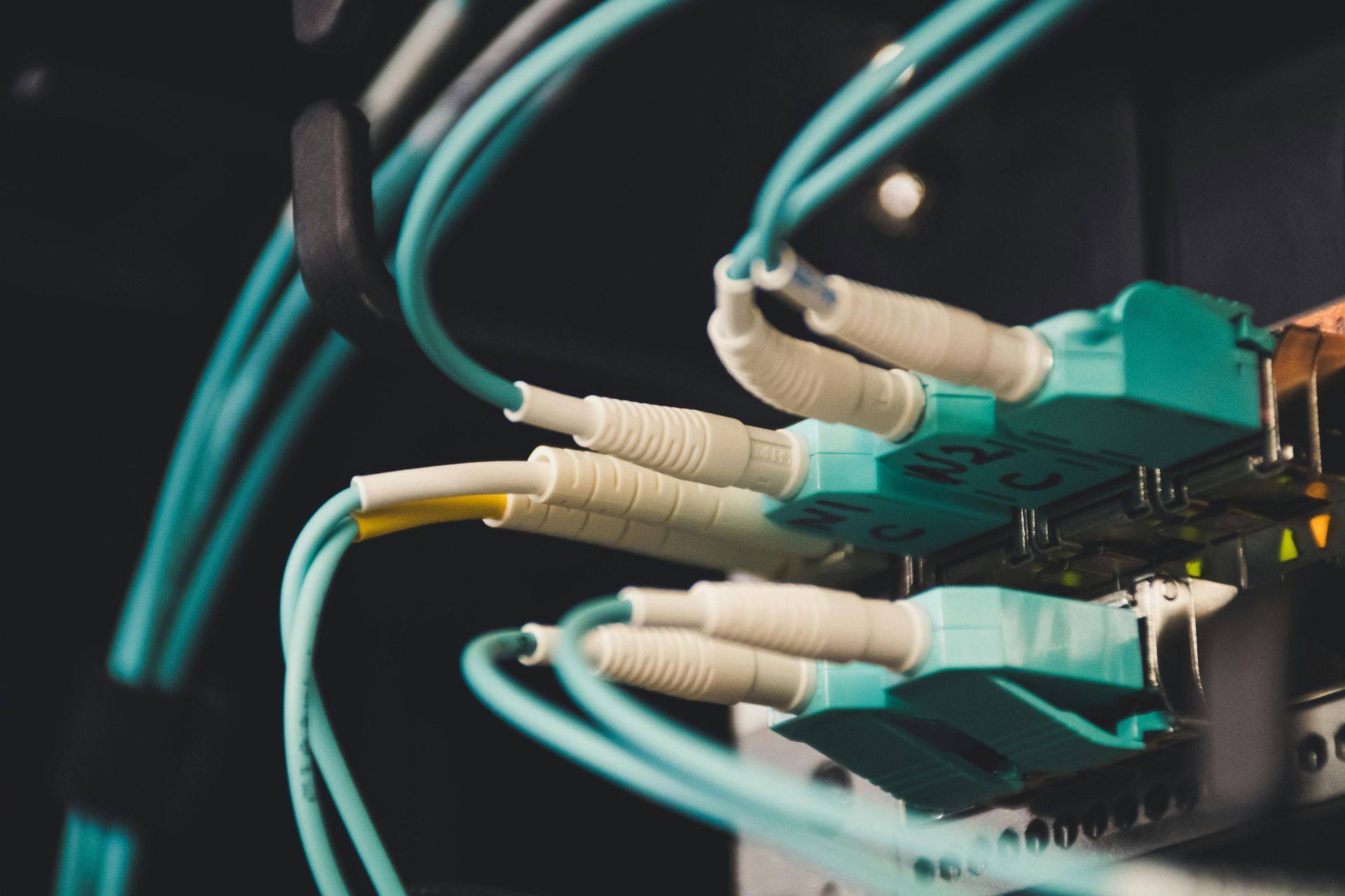 Un montón de cables de fibra óptica están conectados a un servidor.