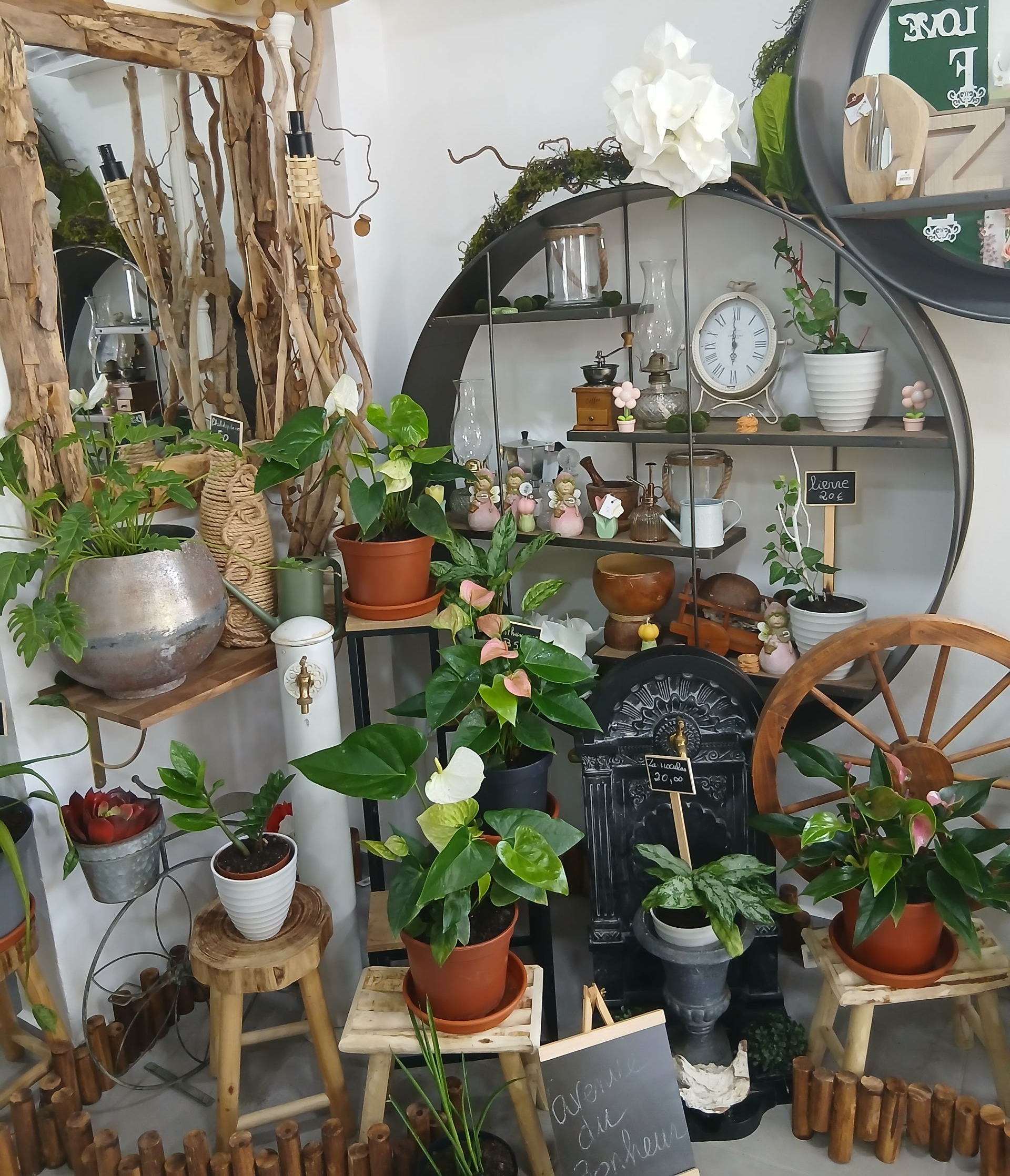 Main tenant un tuyau d'arrosage vert, arrosant un jardin au feuillage vert.