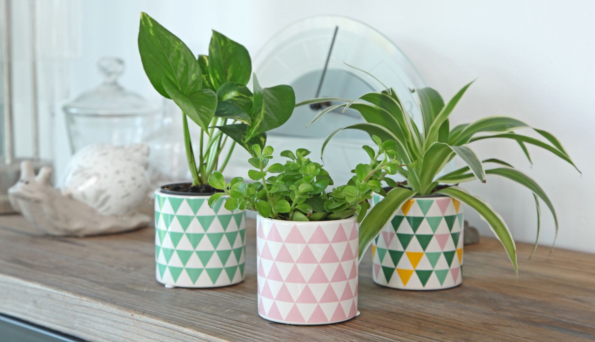 Trois plantes en pot, aux pots à motifs géométriques, posées sur une surface en bois devant une horloge.