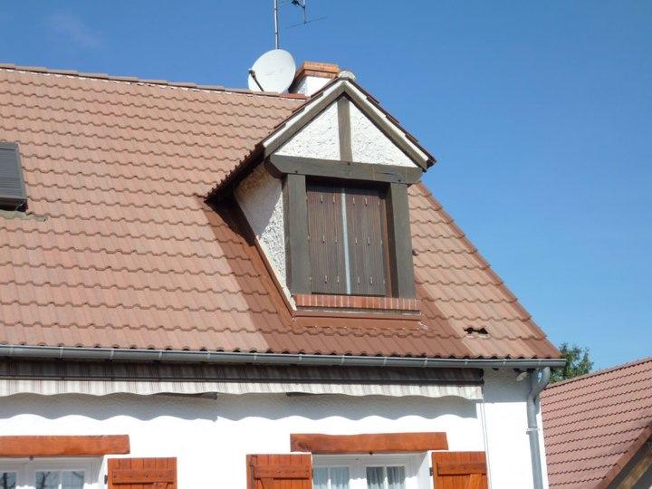 Entourage du chien assis au pinceau