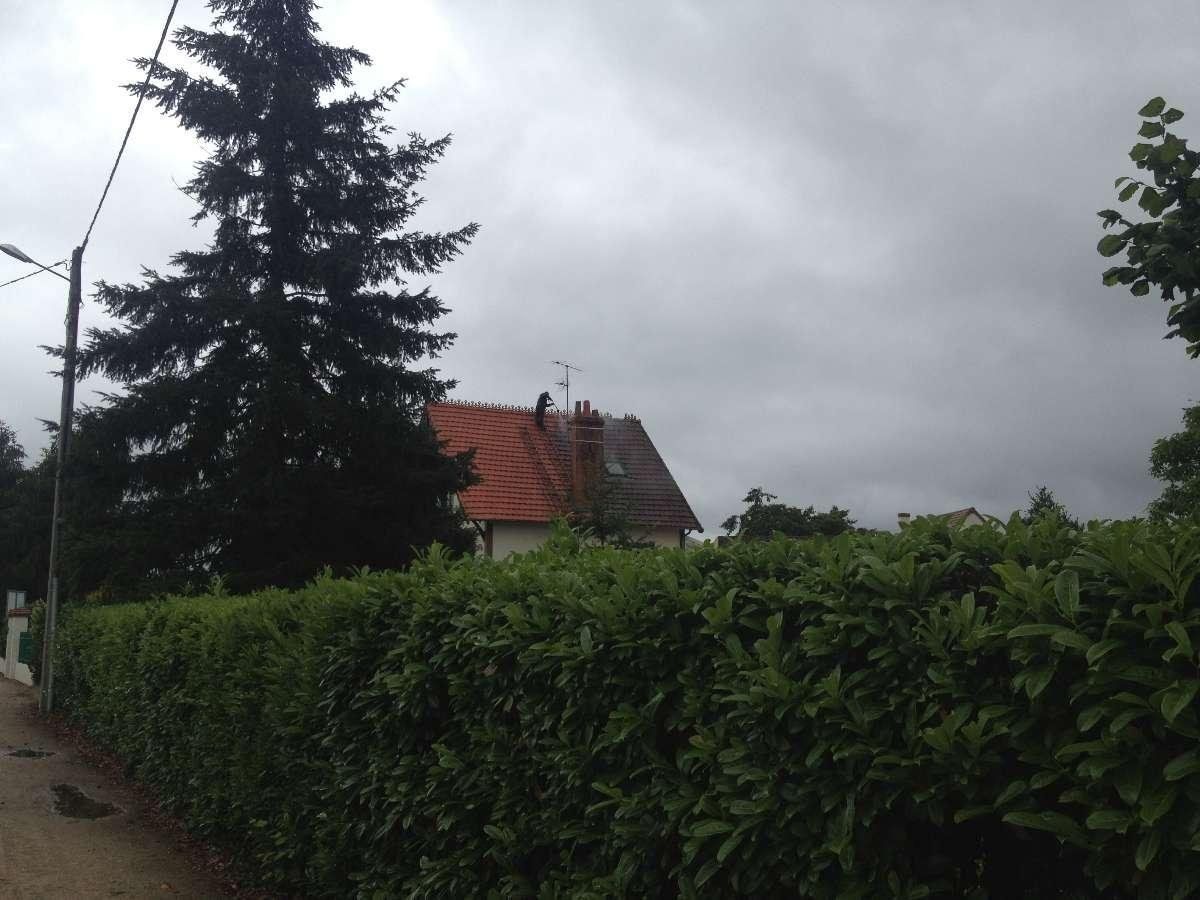 Nettoyage mécanique de la toiture