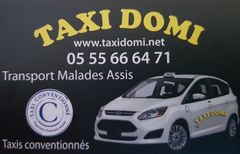 Logo Taxi Domi