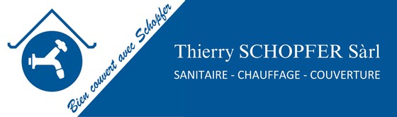 Logo de l'entreprise Thierry Schopfer Sàrl