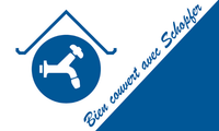 Logo de l'entreprise Thierry Schopfer Sàrl