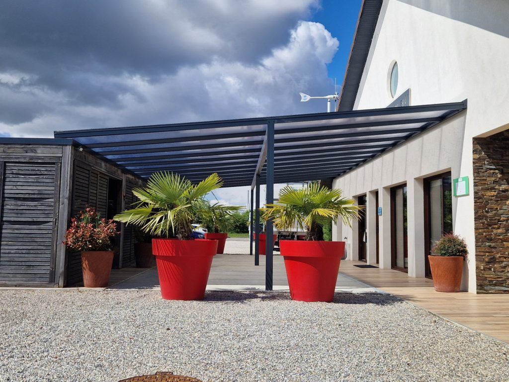 Deux arbustes dans des gros pots rouge.