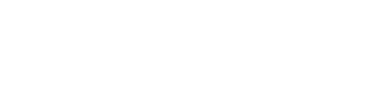 logo blanc ISD