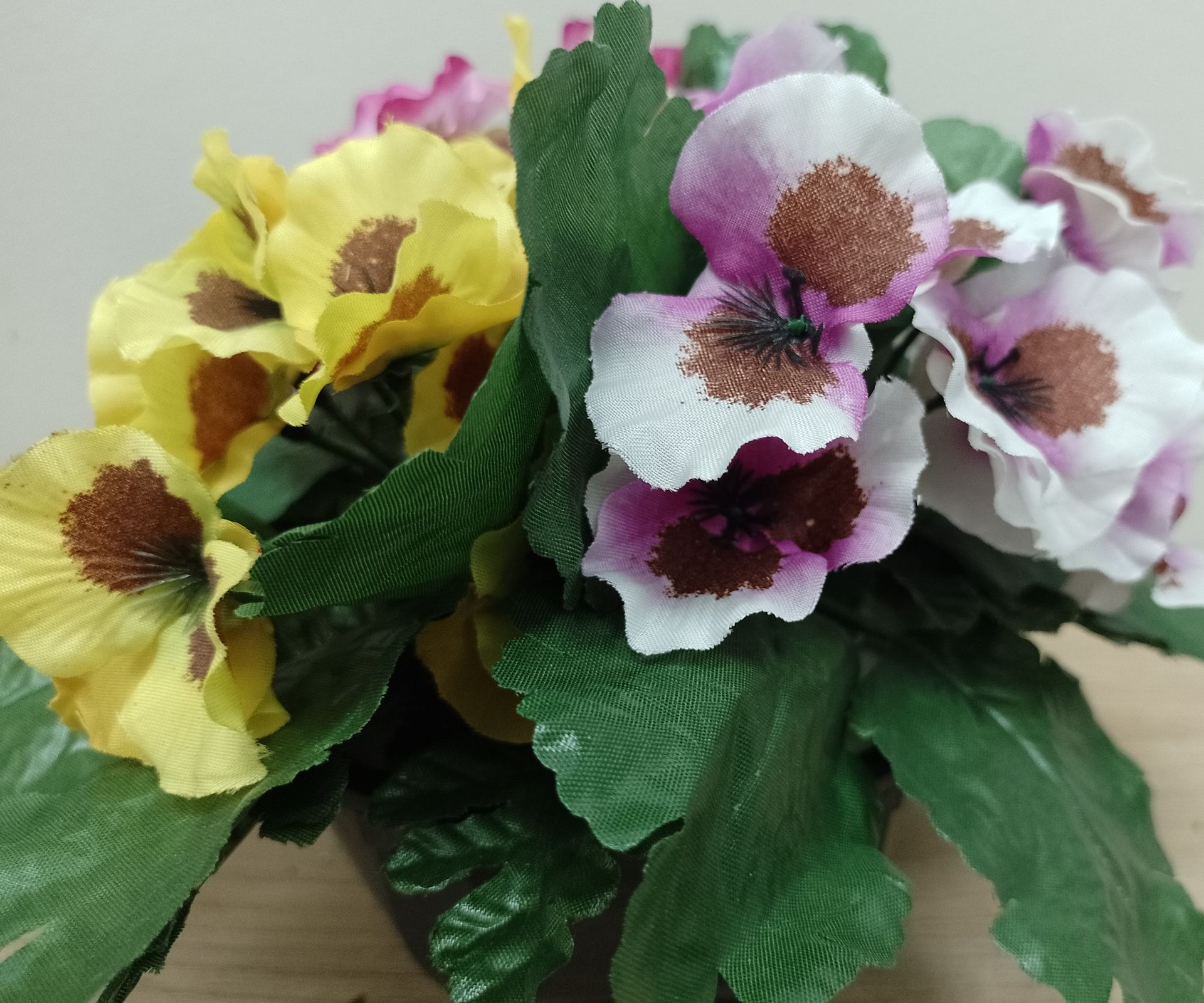 Composition amones violettes