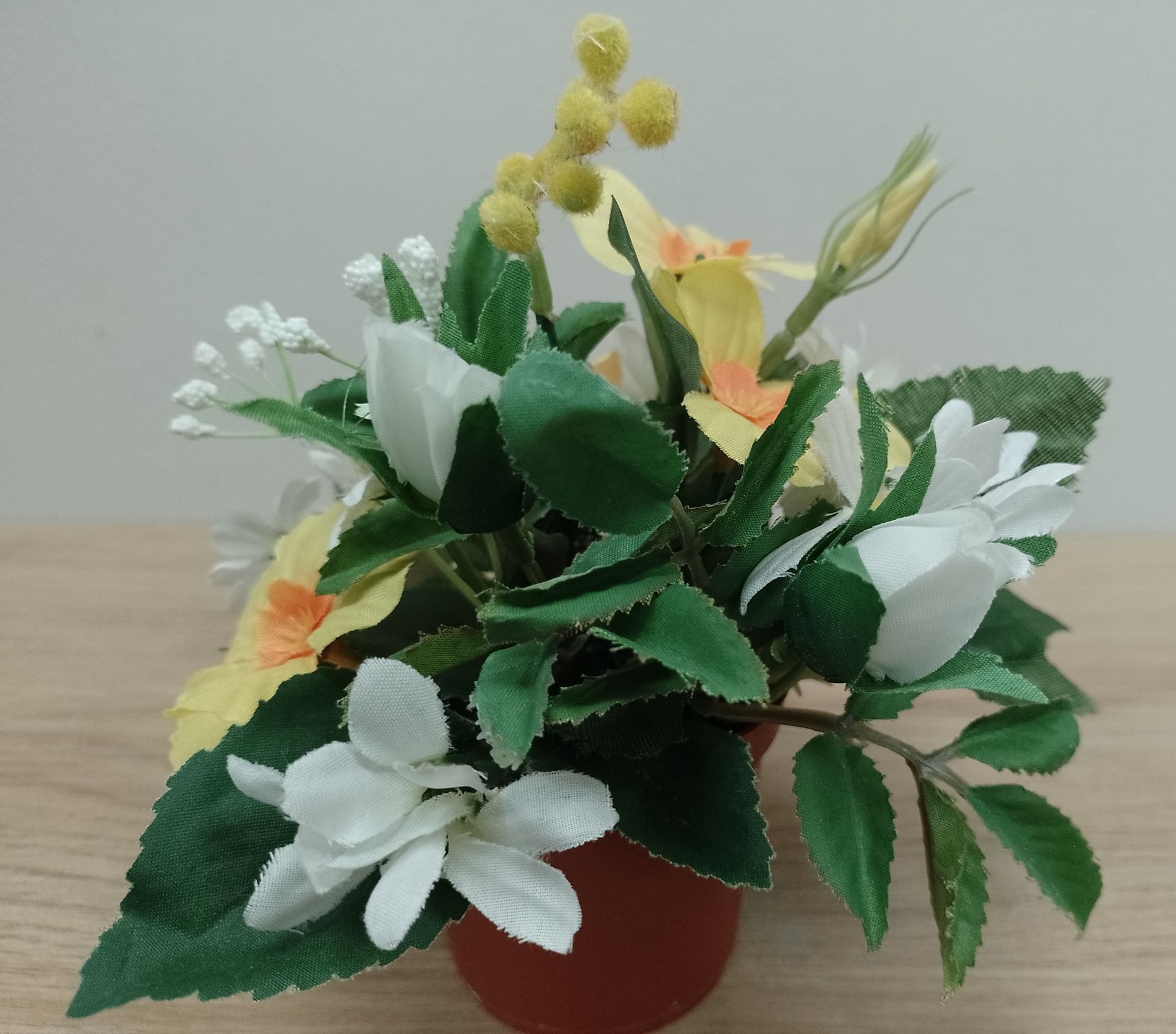 Mimosa - fleurs funéraires