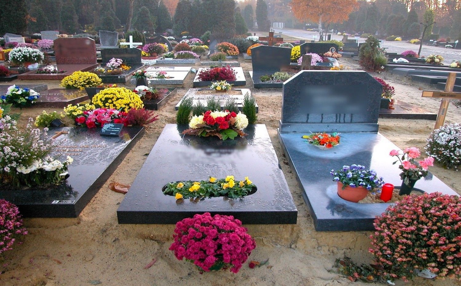 Pompes Funèbres LAMOTTE  ET FILS       
Saint- Maur-des-Fossés