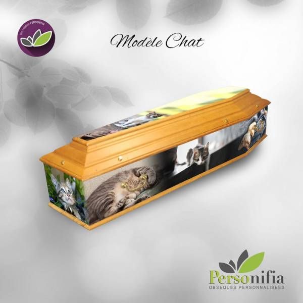 Pompes Funèbres LAMOTTE  ET FILS       
Saint- Maur-des-Fossés