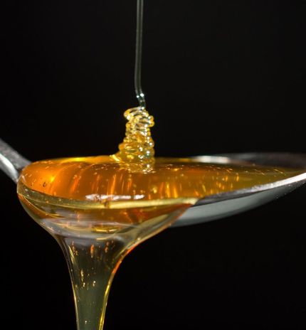 Miel de Manuka