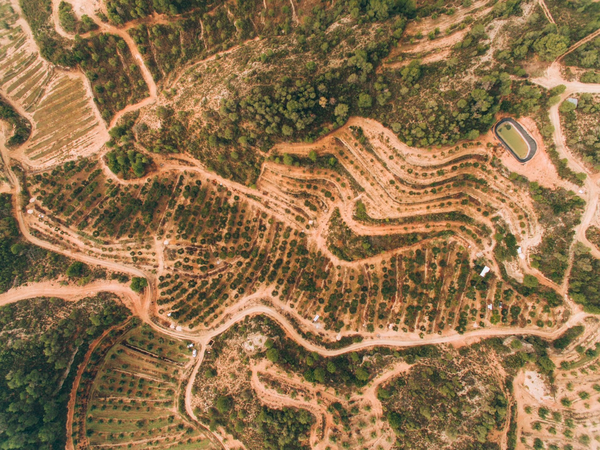 Una vista aérea de una exuberante ladera verde cubierta de árboles y caminos de tierra.