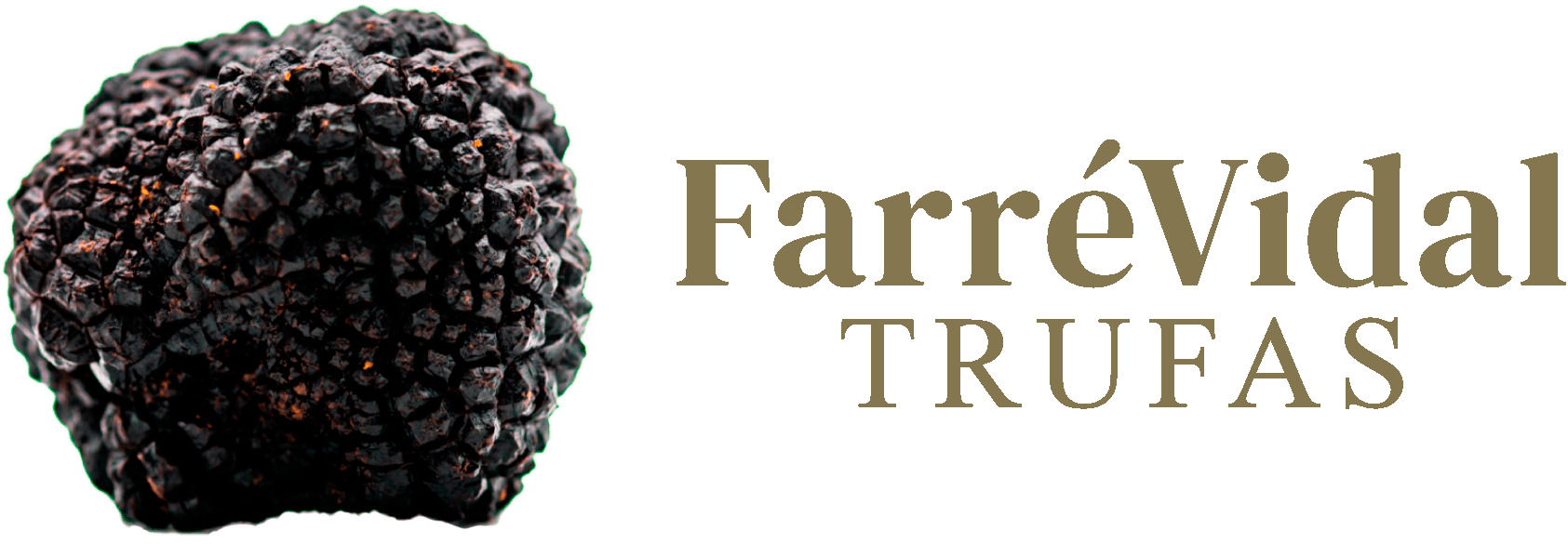 logotipo cabecera
