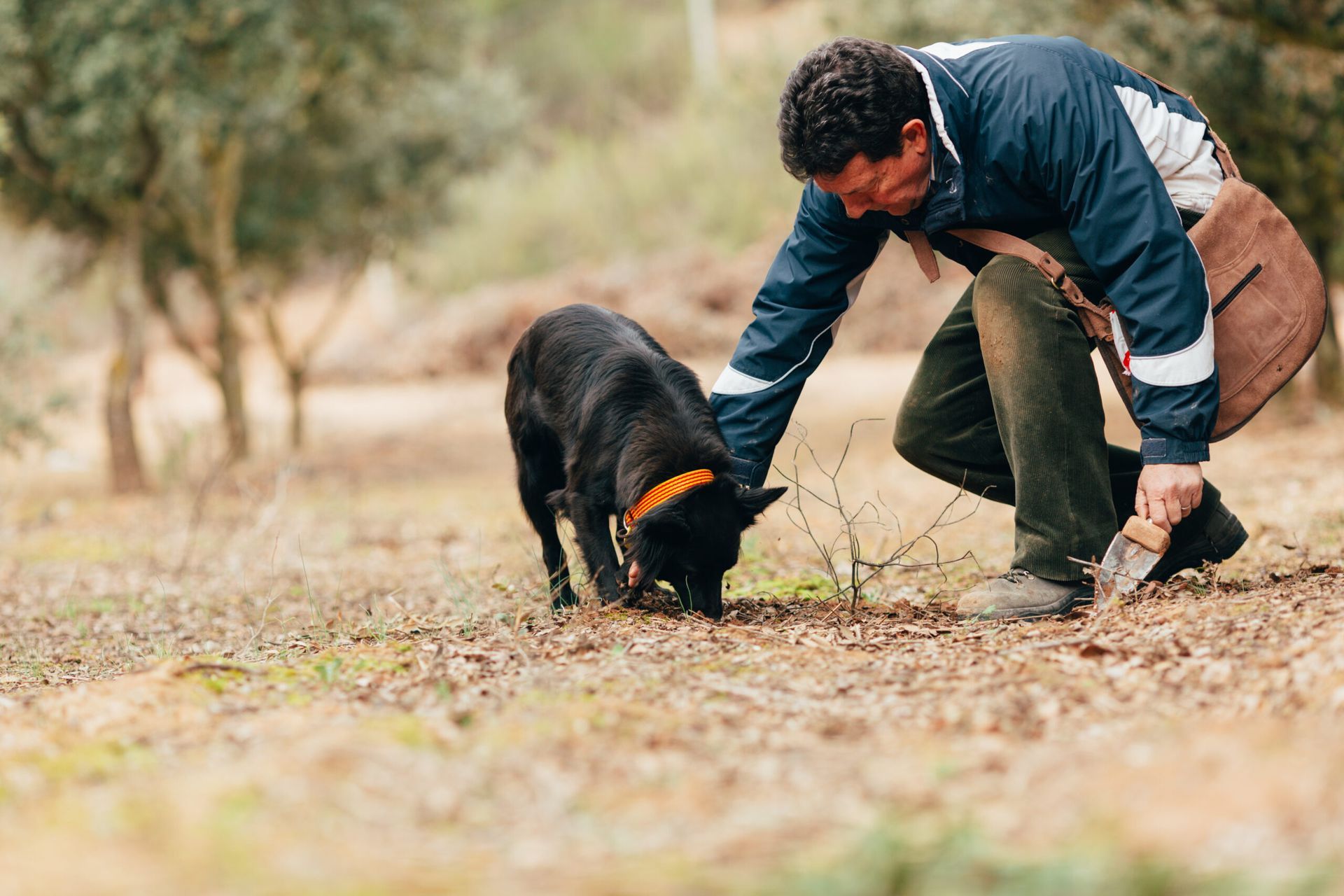Un hombre está arrodillado junto a un perro negro que está cavando en la tierra.