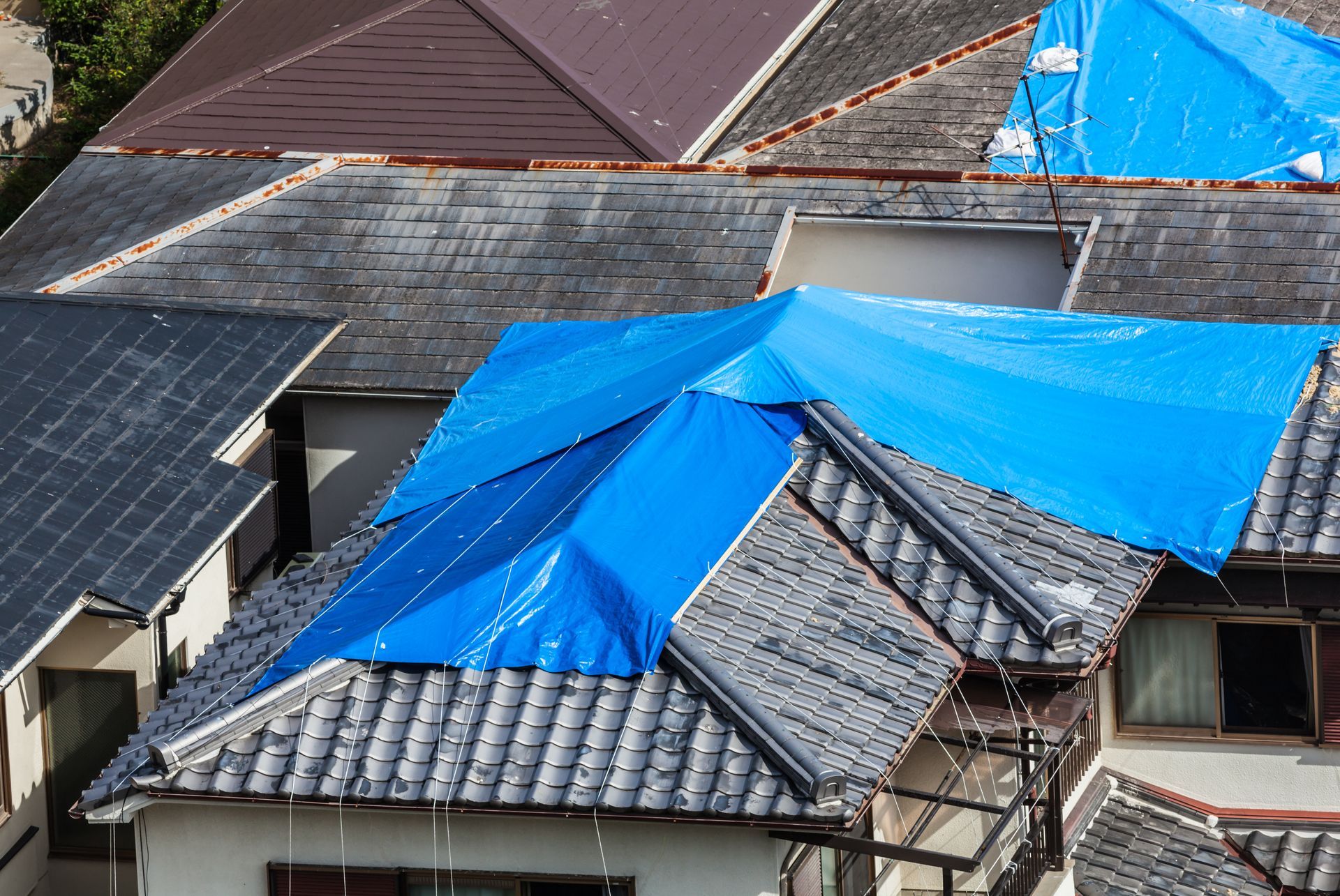 Toits recouverts de bâches bleues et de panneaux solaires après les dégâts causés par la tempête