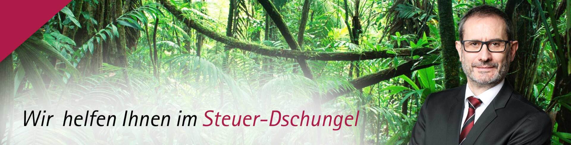 Dieter Schneider - Wir helfen Ihnen im Steuerdschungel