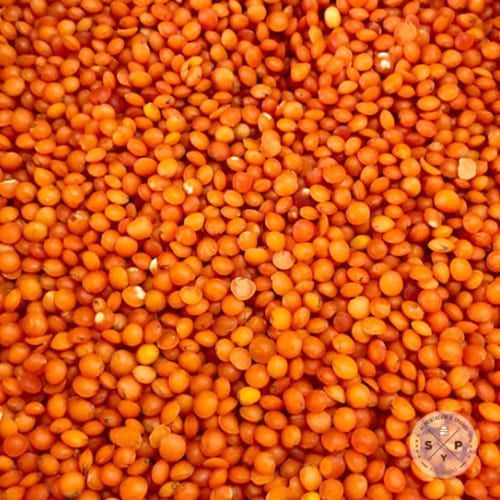 Un primer plano de una pila de frijoles naranjas.