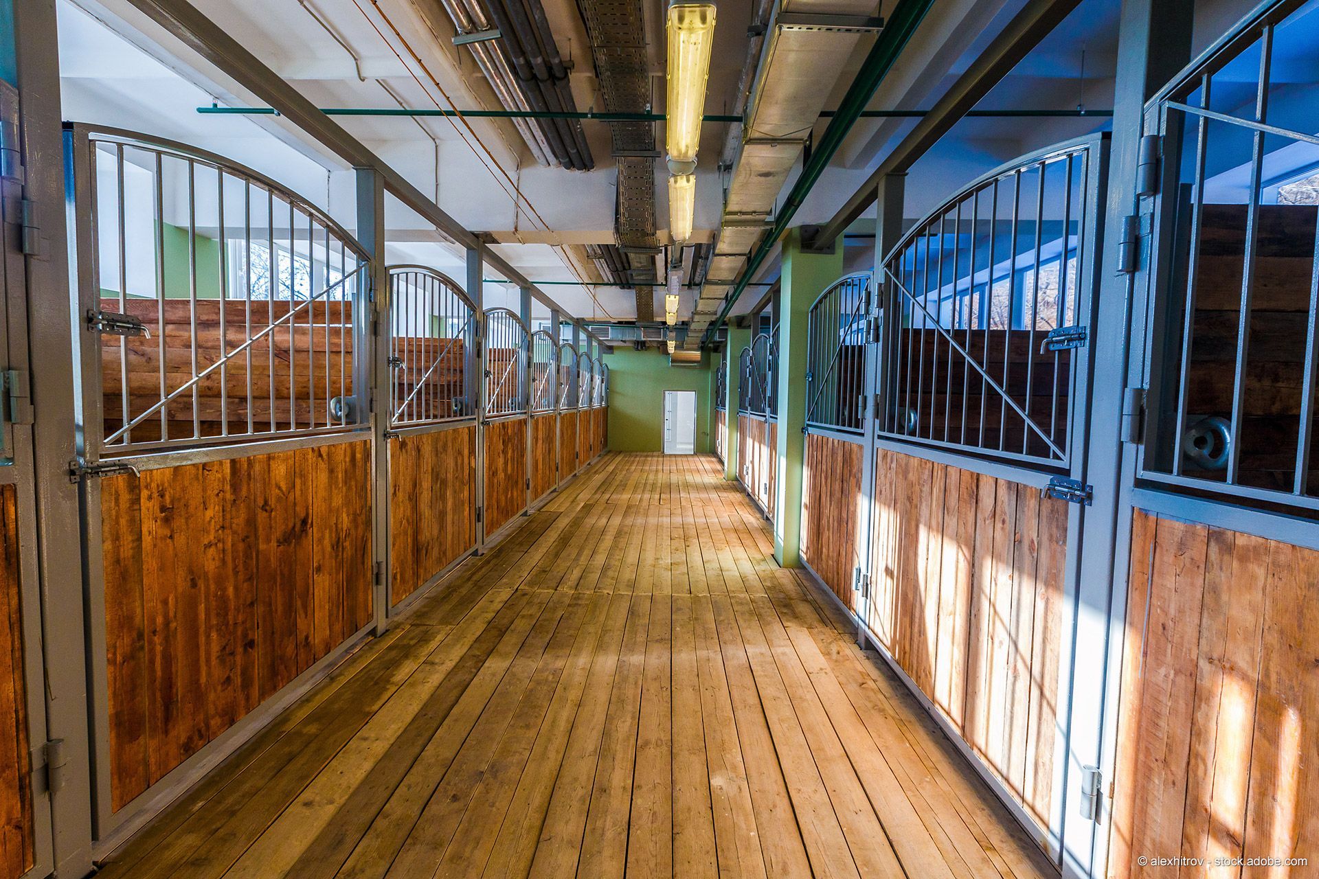 Blick in einen Pferdestall
