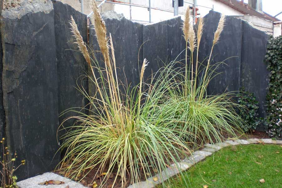 Sichtschutz Naturstein