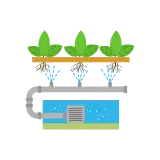 Sistema hidropónico que muestra plantas con raíces suspendidas, rociadas con agua. Un depósito de agua se encuentra debajo de las plantas.