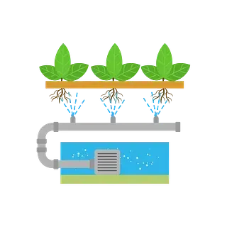 Sistema hidropónico que muestra plantas con raíces suspendidas, rociadas con agua. Un depósito de agua se encuentra debajo de las plantas.