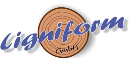 The Dome Logo
