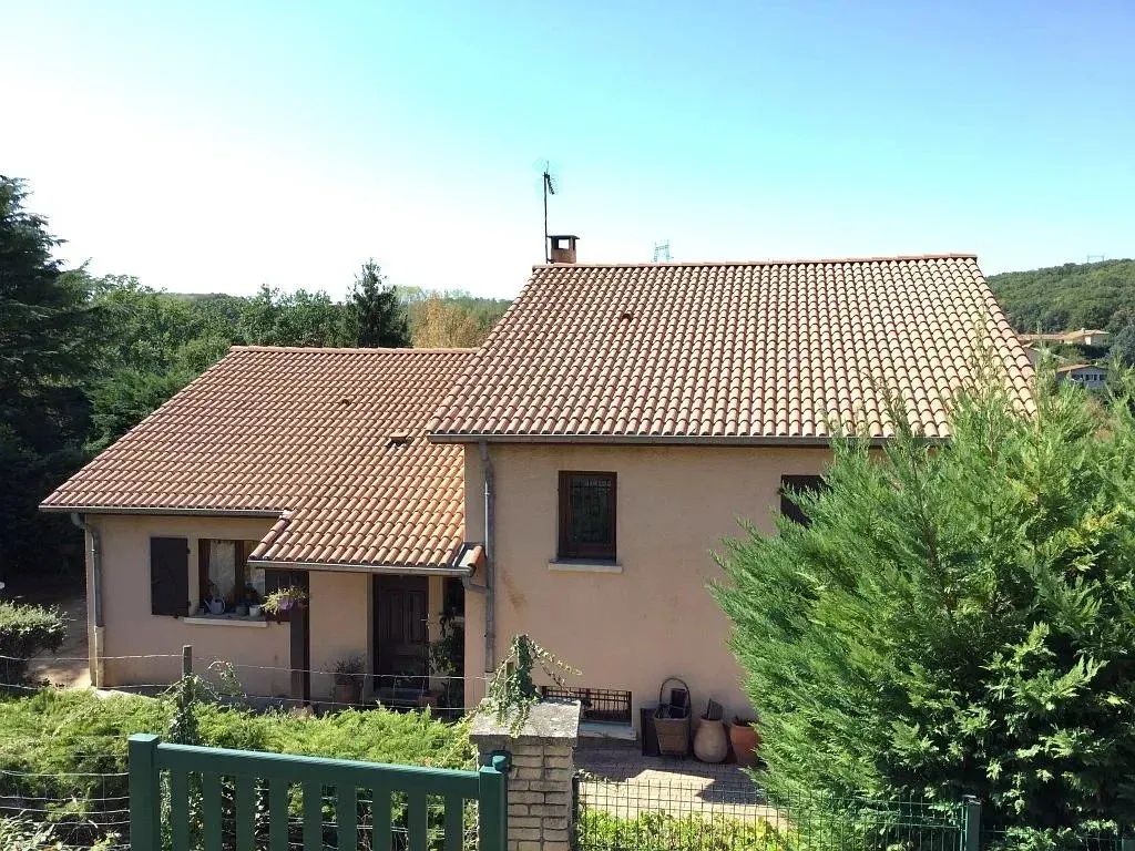 Maison avec toiture rénovée