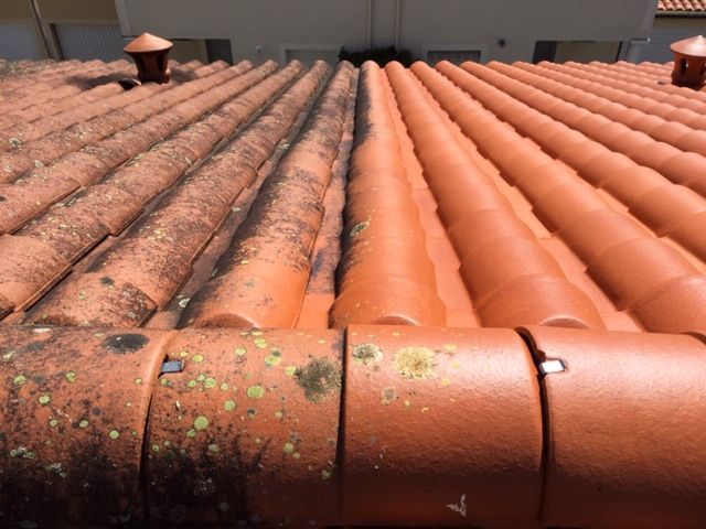 Toiture à demi nettoyée