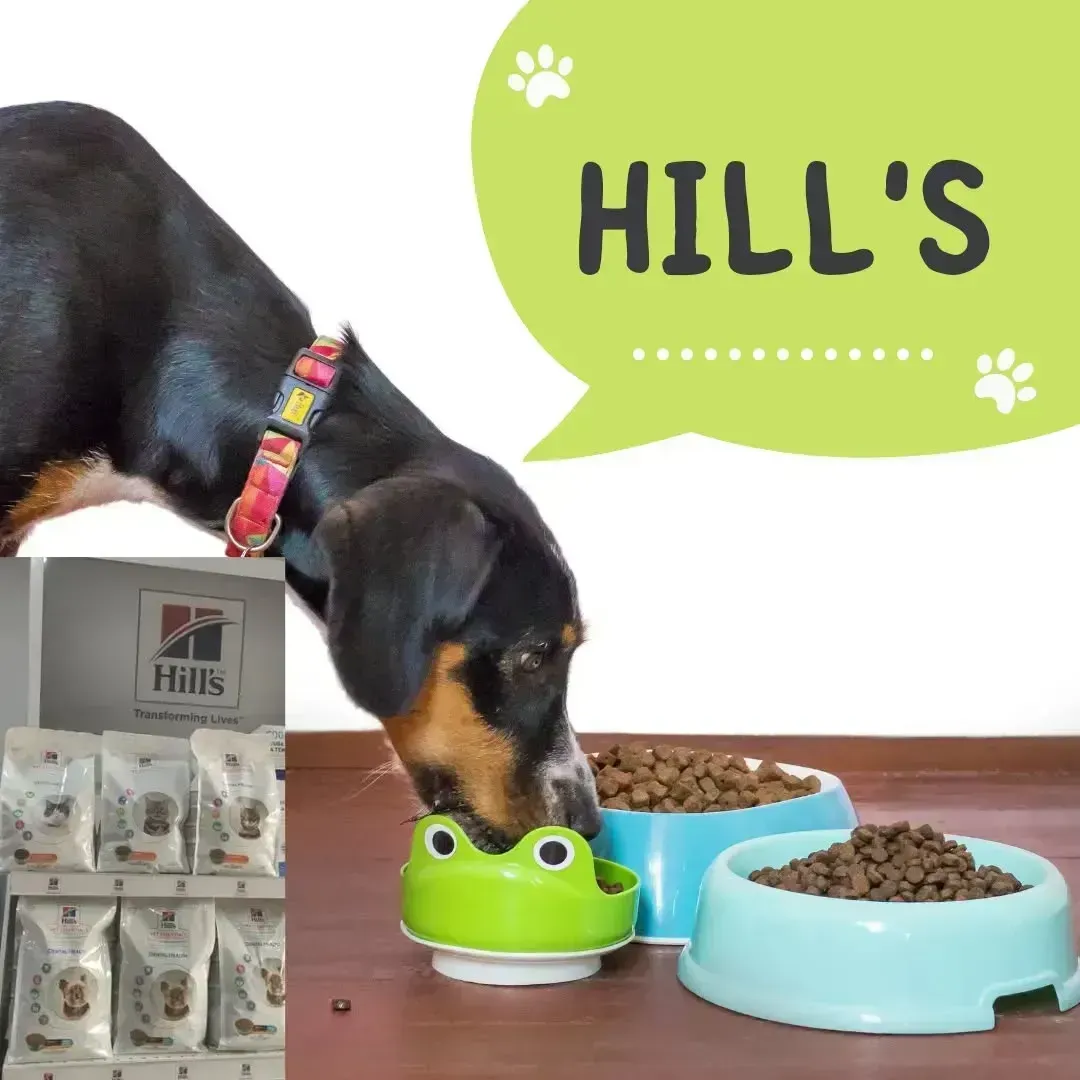Un perro comiendo de un recipiente verde con un globo de diálogo que dice Hill's