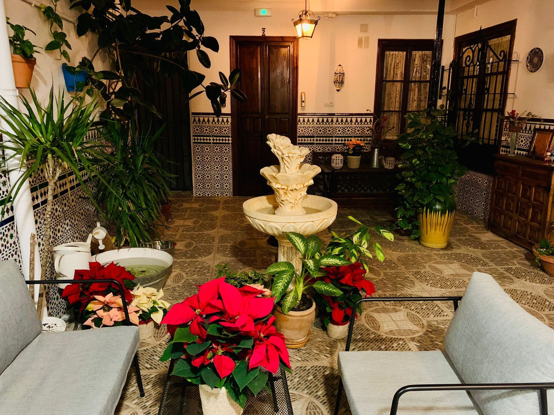 Una habitación con una fuente rodeada de plantas y flores.