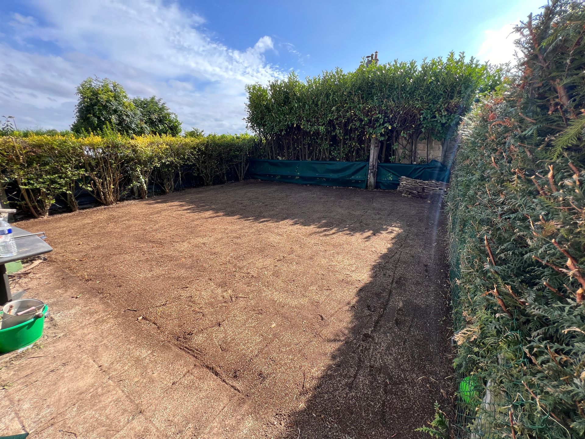 Jardin ensoleillé jouxtant une maison en pierre, avec des arbres dénudés et un ciel d'hiver bas.