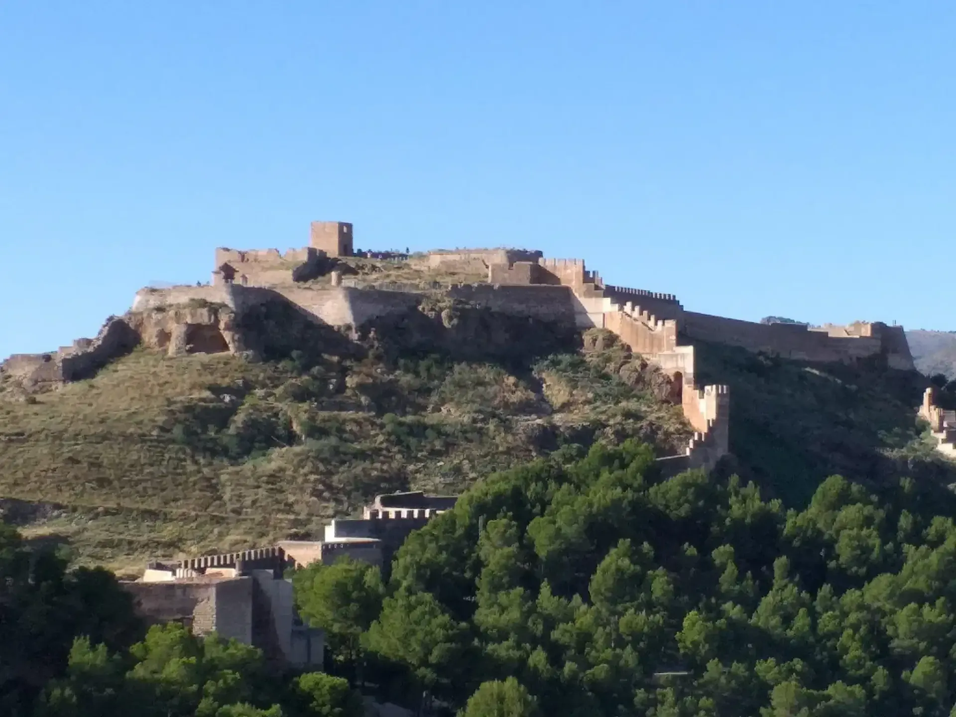 Fortaleza de piedra en la cima de una colina sobre árboles verdes bajo un cielo azul claro