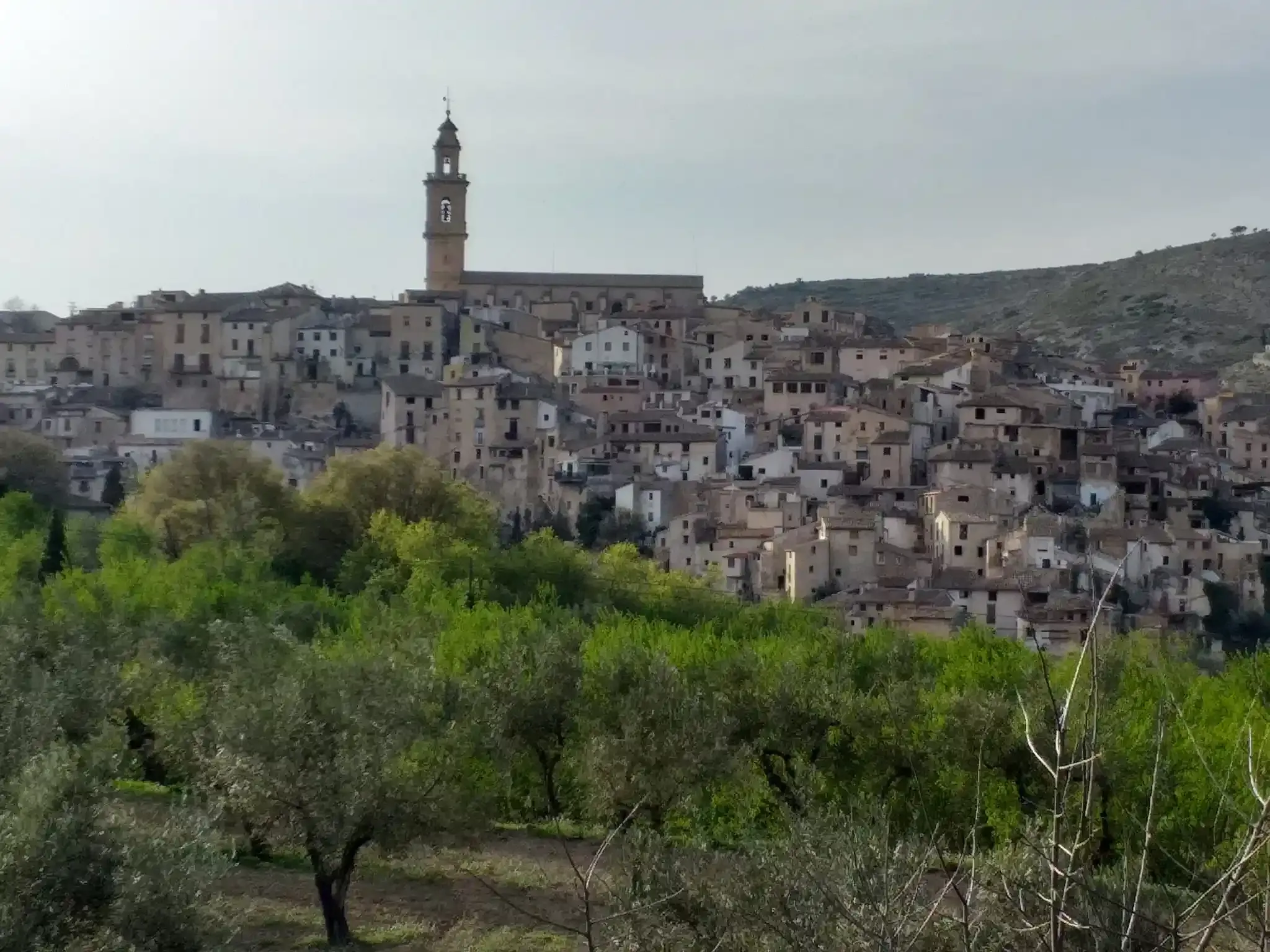 Pueblo en la cima de una colina con una alta torre de iglesia, casas de piedra agrupadas y árboles verdes en primer plano.