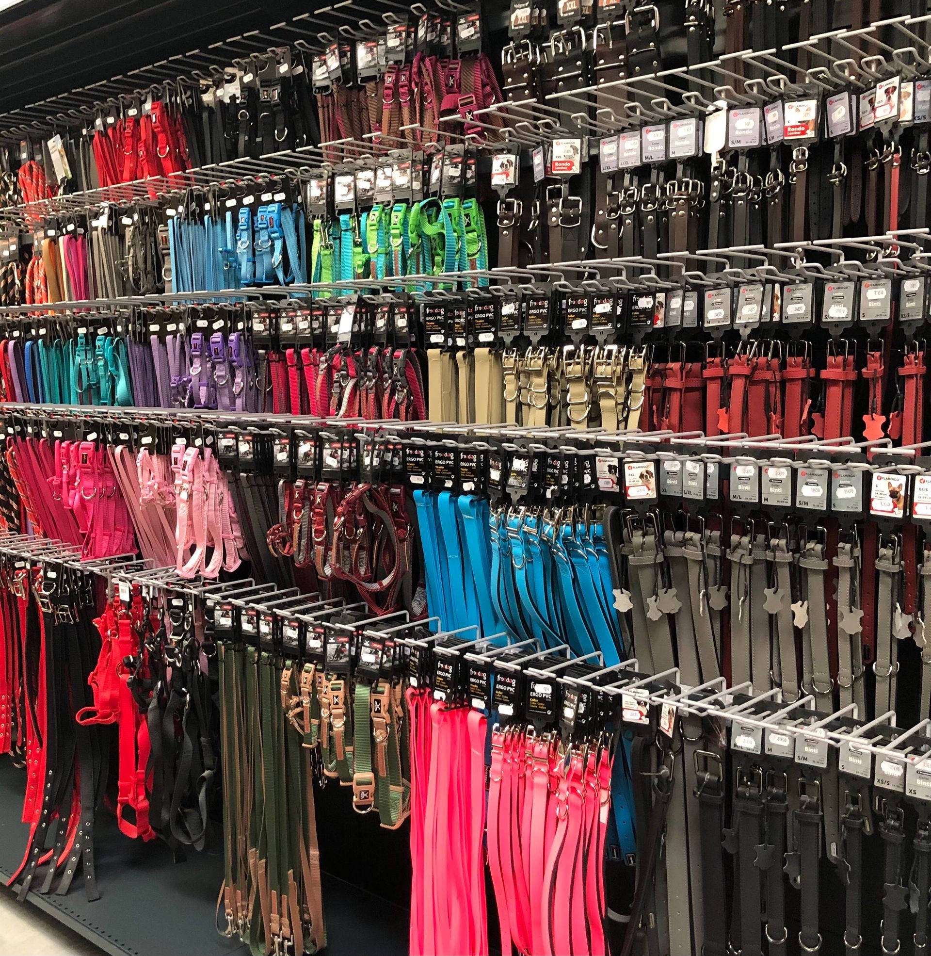 Colliers et laisses pour chiens