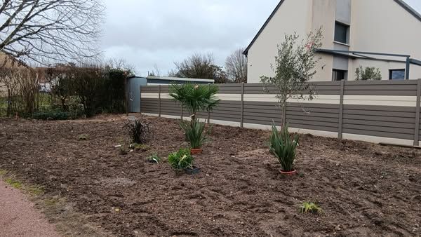Parterre de jardin paillé avec trois petites plantes à côté d'une clôture grise et d'une maison sous un ciel nuageux