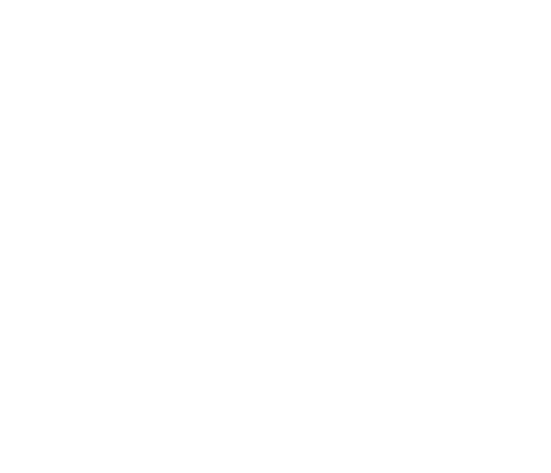 purplex logo