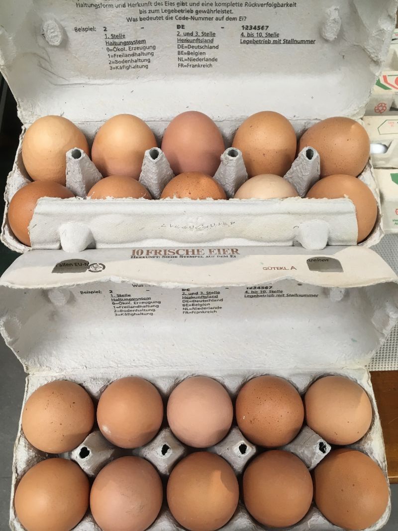 Vitamin B Naturgut & Feinkost Eier im Eierkarton