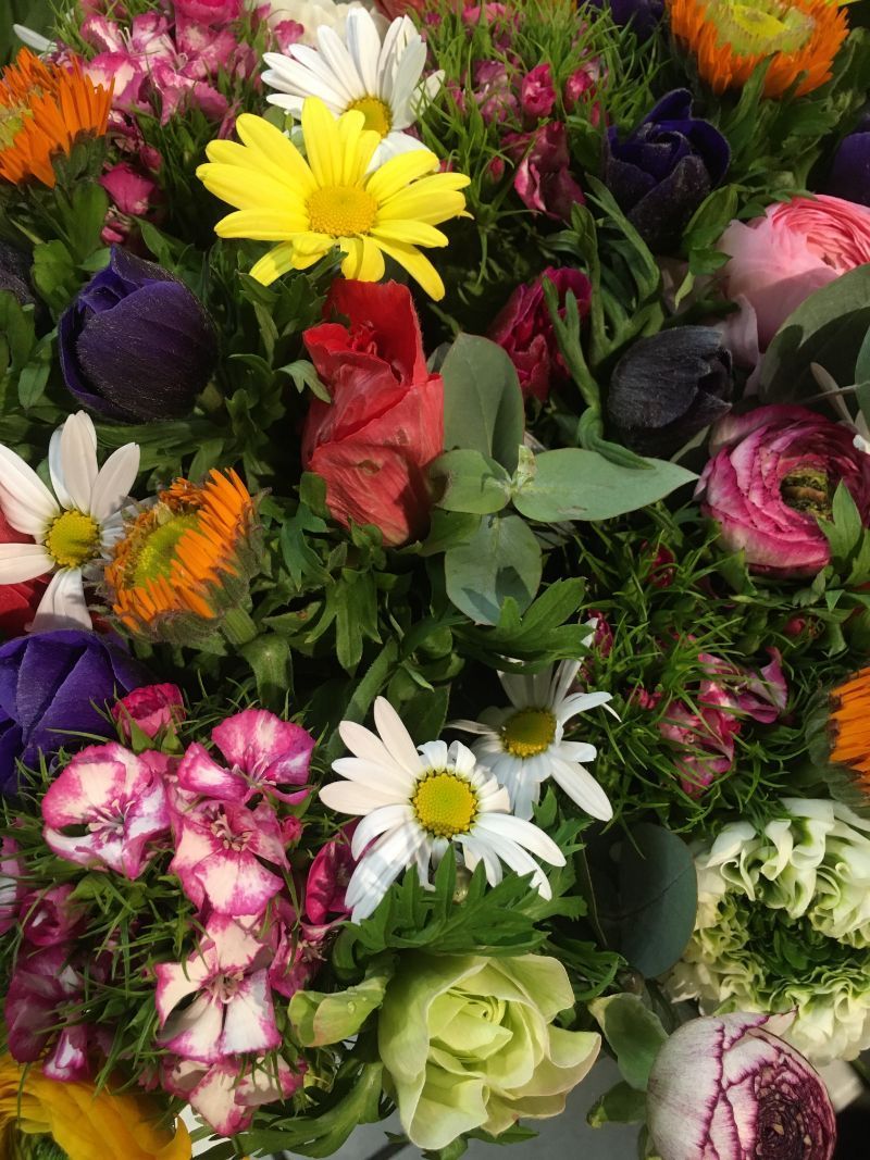 Vitamin B Naturgut & Feinkost Blumen