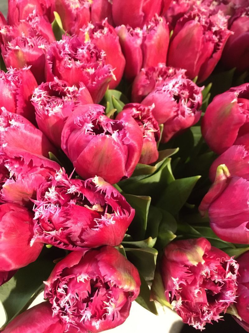 Vitamin B Naturgut & Feinkost Blumen