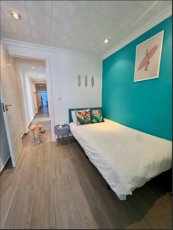 Habitación luminosa con una pared decorativa de color verde azulado, cama blanca, pasillo y un perro pequeño cerca de la puerta.