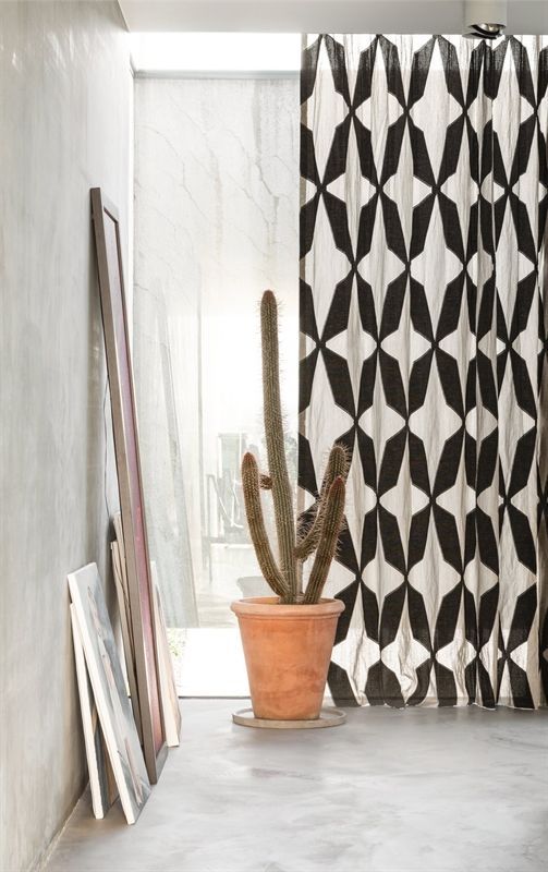 Ein Kaktus im Topf steht vor einem schwarz-weißen Vorhang.