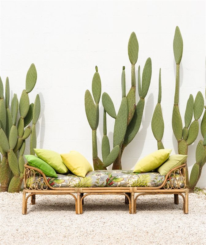 Eine Couch mit grünen und gelben Kissen ist von Kakteen umgeben