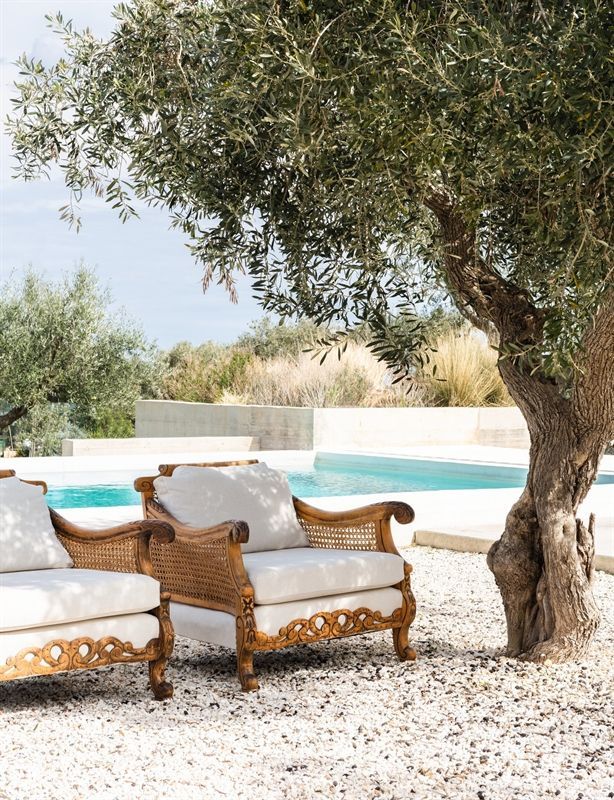 Zwei Stühle und eine Couch stehen unter einem Baum in der Nähe eines Pools