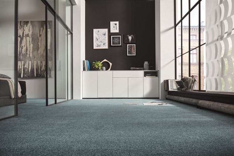 Ein Wohnzimmer mit blauem Teppich und großem Fenster.