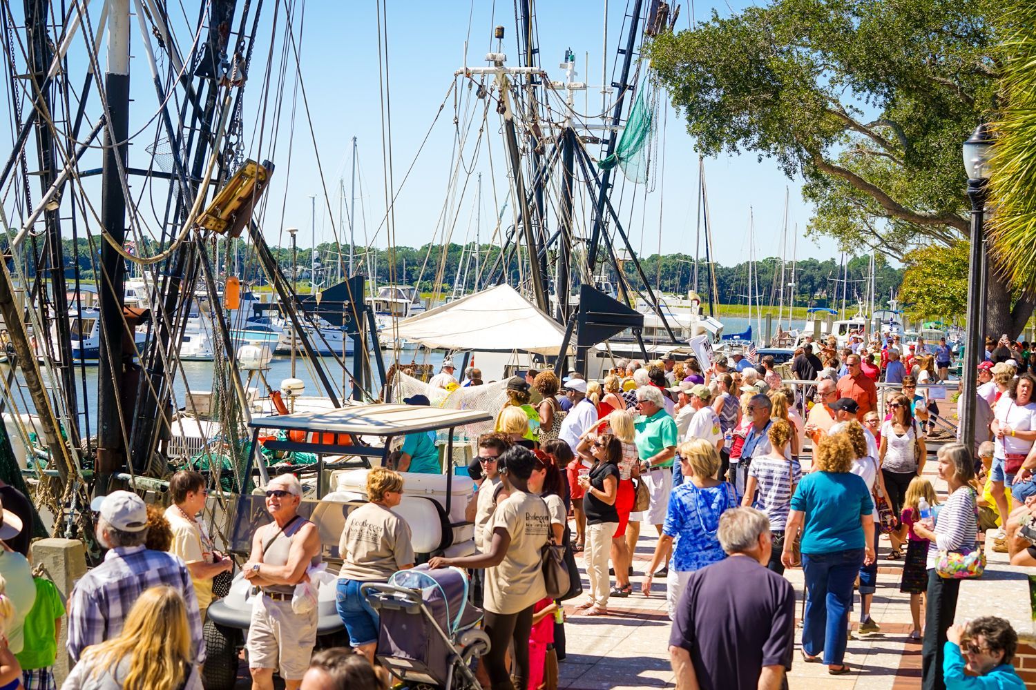 A large group of people are standing in front of boats in a harbor.