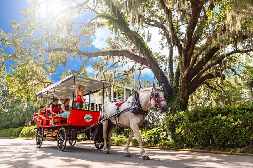 A horse drawn carriage with people on it is driving down a road.